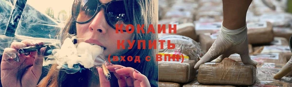 дживик Володарск