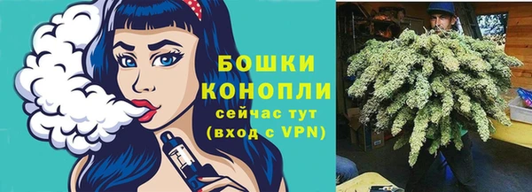 дживик Володарск