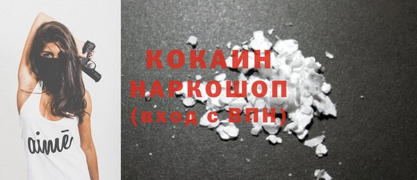 дживик Володарск